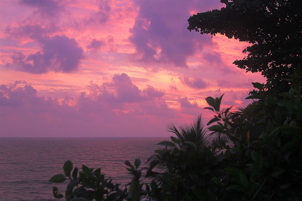 Magnolia Guesthouse Varkala Eksteriør billede