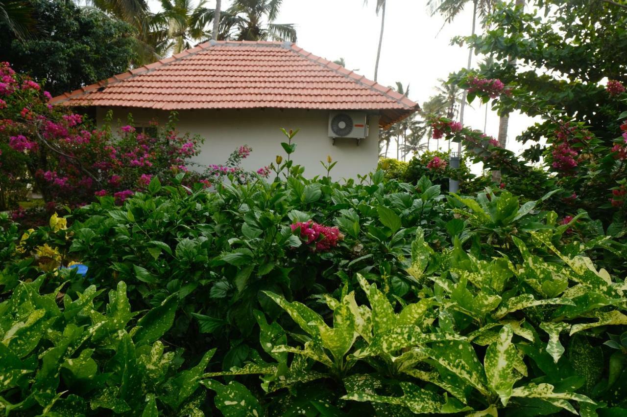 Magnolia Guesthouse Varkala Eksteriør billede